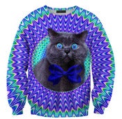 Image of Crazy cat sweater