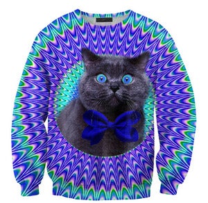 Image of Crazy cat sweater