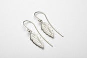 Image of Pernille Corydon, Leaf hook