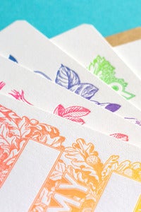 Image of The Blank Collection