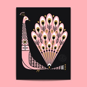 Image of Peacock-Pink