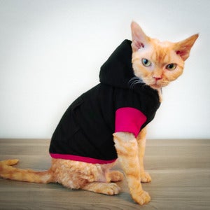 Image of Rex Hoodie - Twilight<br>(Heavy Weight)