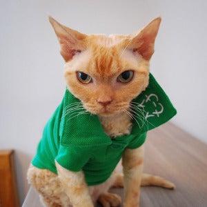 Image of Wesley Polo - Emerald<br>(Light Weight)