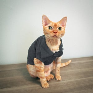 Image of Wesley Polo - Smoke<br>(Light Weight)