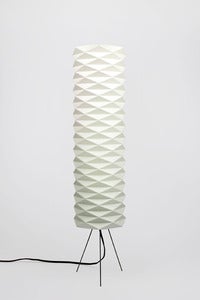 Image of C.LAMP (C6M_TL2)