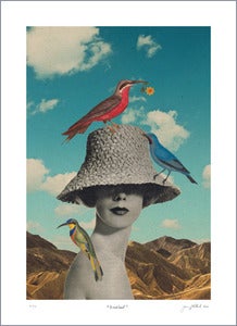 Image of Birdland