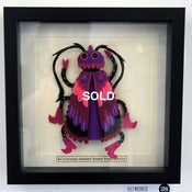 Image of Heliotrope Heade Honky Tonk Beetle