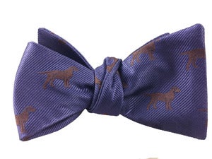 Image of Brown Pooches Prefer Bow Ties