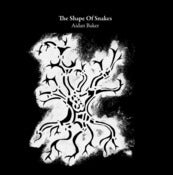 Image of Aidan Baker - The Shape of Snakes (Book)
