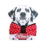 Image of PET BOW TIES