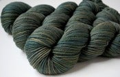 Image of Fern Forest- Raspberry Worsted