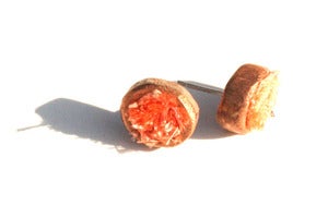 Image of Fringe Studs  Pink/Cochineal 