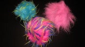 Image of Cooters!  (Props from Pandora's Music Video: Cooter!)