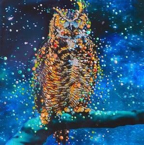 Image of Star Owl - Conduit To Celestial Wisdom