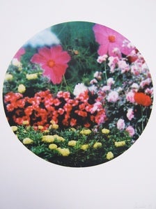Image of shanghai floral abunda