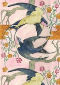 Swallows - card