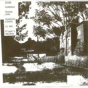 Image of TYVEK "SIDEWALK/FUTURE JUNK/FLASHING LIGHTS" m'lady's records 45