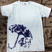 Image of fourcast blue cracked
