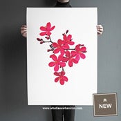 Image of Chinoiserie - Jatropha Integerrima - A1