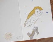Image of barn owl