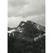View image 4