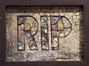 Image of RIPAVONE - DESTROY REBUILD