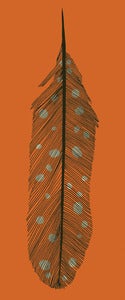 Image of Feather Art Print 2
