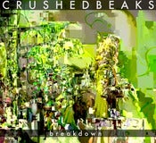 Image of Crushed Beaks - Breakdown 7"