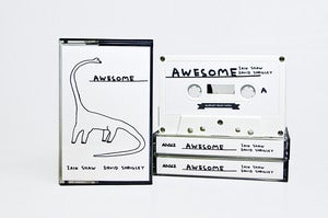 Image of AD062 Iain Shaw/David Shrigley 'Awesome'
