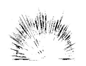 Image of Burst - printable file