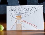 Image of chapman swifts!