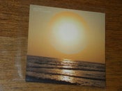 Image of Megabats - Goes To A Lemon CD