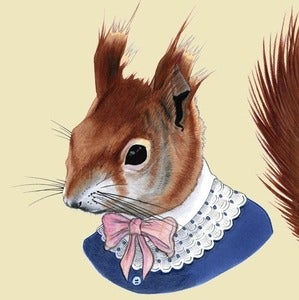Image of Red Squirrel Print 8x10