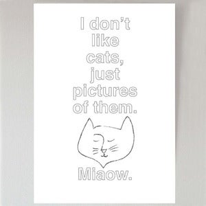 Image of I don't like cats...