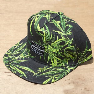 Image of Grand Scheme- Maui wowie snapback Black