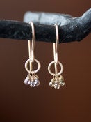 Image of Chocolate Diamond Cluster Earrings