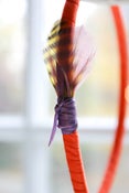 Image of Lollipop