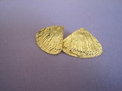 Image of Sea Shells