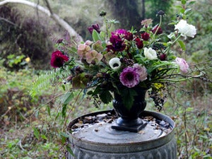Image of RAMBLING