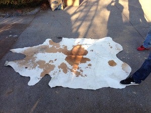 Image of Cow Hide Rug 