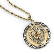 Image of Shayan Afshar Lion Medallion 