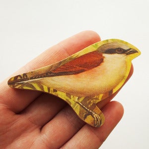 Image of Fat Finch Brooch