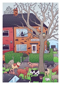 Image of WILD DOGS of WYTHENSHAWE