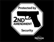 Image of "Protected By 2nd Amendment Security" T Shirt or Hoody