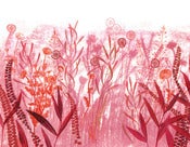 Image of postcard - herbarium (2)