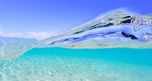 Image of Paradise