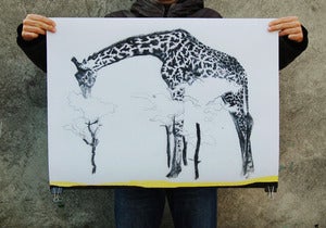 Image of CHARITY //giraffe poster