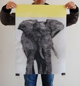 Image of CHARITY //elephant poster