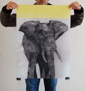 Image of CHARITY //elephant poster