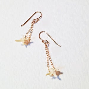 Image of small rattlesnake vertebrae earrings